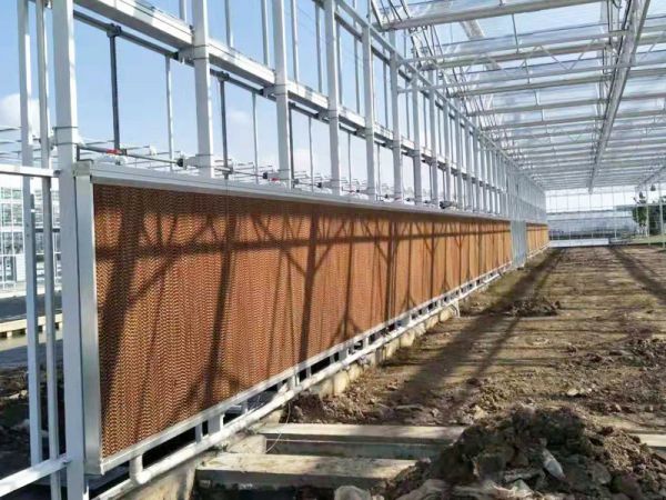 濕簾養(yǎng)護(hù)的方法有哪些？